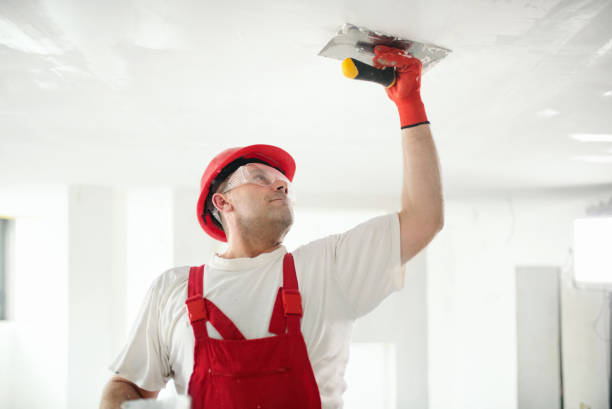 Reliable Wood Ridge, NJ Dry wall and painting Solutions